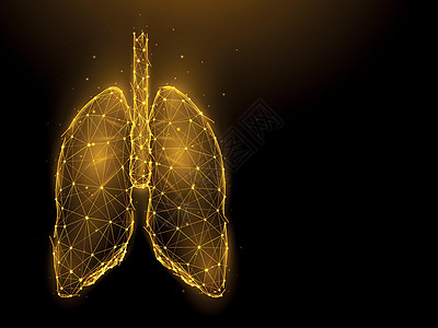 深色背景下人肺的抽象多边形图解 人体呼吸器官低聚设计 医疗横幅 模板或背景图片