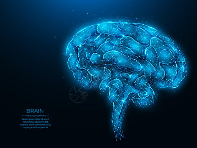深蓝背景的多角人类大脑矢量图 人工智能的概念 脑解剖低层多元艺术 神经学横幅或模板 (a)图片