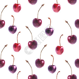 水彩紫樱桃无缝模式食物收成季节植物蓝色营养插图设计绘画水彩图片