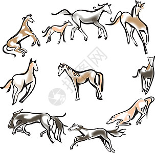 养宠物的矢量群 马在白色背景中被孤立速度收藏野马运动卡通片草图马背哺乳动物力量尾巴图片