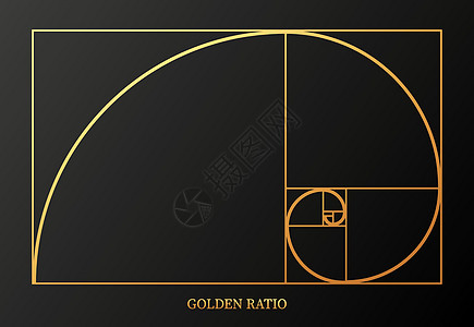 灰色背景的金比摘要说明 艺术黄金 螺旋图案 线画 矢量图解天才数学顺序绘画几何学漩涡网格公式建筑学金子图片