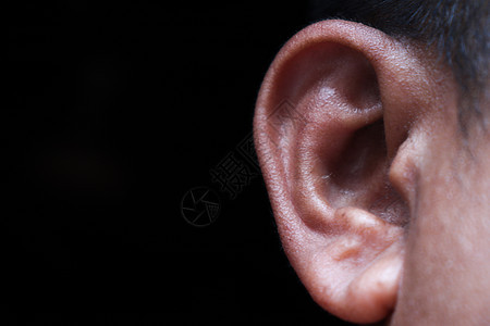治疗的人类耳朵白色眼睛听力人士投标音乐孩子们洞察力商务鼻子图片