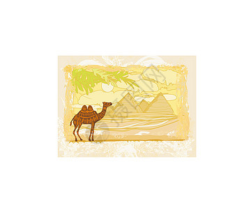 绵绵沙漠中的骆驼图片