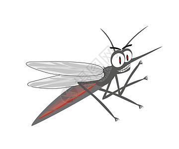 愤怒的蚊子漫画野生动物瘟疫动物眼睛危险翅膀寄生虫疟疾沼泽疾病图片