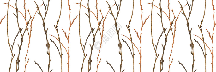冬季森林水彩色无缝图案 有树枝图片
