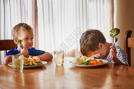 就这样 我们绝食了 两个不开心的小男孩拒绝在餐桌上吃蔬菜的镜头图片