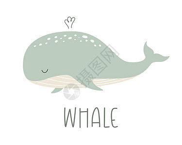 可爱的薄荷鲸生活在野生水下生命中插画