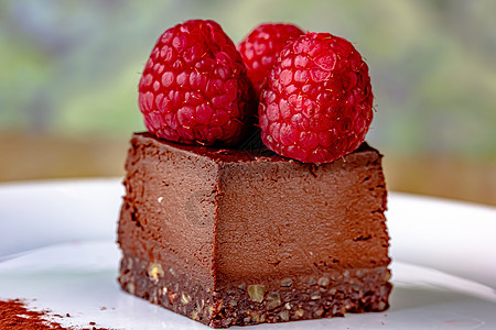 漂亮的巧克力蛋糕 带新鲜果子汁的巧克力蛋糕糖果覆盆子奢华白色糕点叶子盘子红色美食薄荷图片