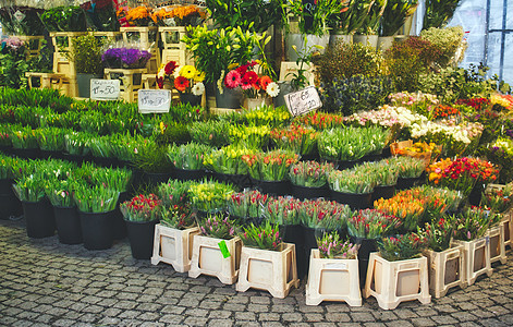 猫砂盆露天市场摊位的花束花背景
