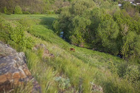 多岩石的地方 从落基山顶的全景 俄罗斯 罗斯托夫地区 市 唐世界第七大奇迹纪念碑天空旅游堡垒爬坡石头旅行蓝色绿色森林图片