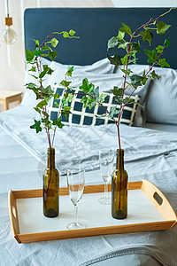 时尚的睡房室内 盘子上有双张床和葡萄酒瓶中的树枝桌子早餐情绪休息格子毯子亚麻房子植物湿气图片