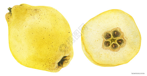 新鲜黄黄五色水果图片