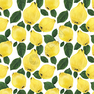 黄金果和绿树叶无缝模式艺术园艺饮食蔬菜水彩果汁插图艺术品黄色甜点图片