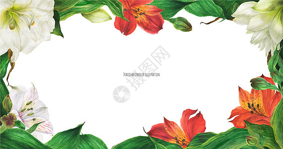 带白红百花花的花旗植物花束婚礼花瓣胸花热带叶子异国海报手工图片
