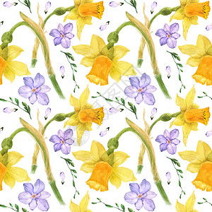 黄花水和紫无自由自来水彩色 无缝模式水仙花束青年植物艺术品绿色压痛包装纸花园植物群图片