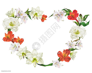浪漫的新娘式心脏形状花圈 白红鲜花回旋曲草地插图花束花园花环花瓣新娘心形边界图片
