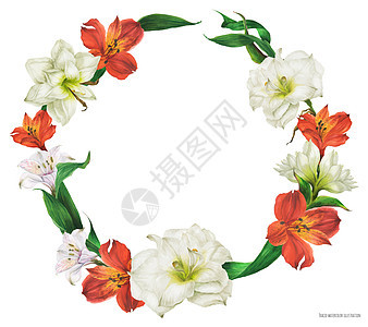 有红色和白色百合花的花卉水彩花圈横幅销售量手工海报植物框架新娘花园边界花束图片