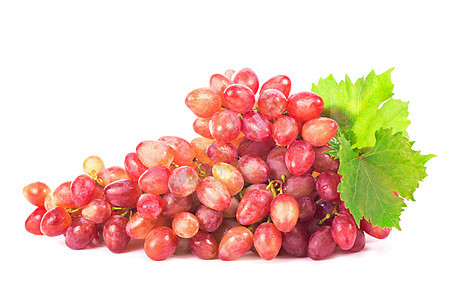 红葡萄 白白的叶子与白的隔绝剪裁饮食酒厂植物甜点主教食物浆果果汁小路图片