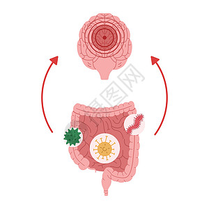 由于接触微生物 肠道健康差 导致出现神经发光矢量图解 食虫类疾病图片