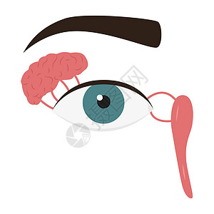人类眼睛和角化腺 医疗矢量说明图片