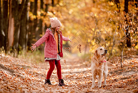 幼童和金色猎犬季节动物孩子叶子宠物幸福童年生活青春期快乐图片