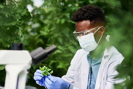 看看我刚刚发现了什么 一位年轻植物学家在户外工作和发现新植物物种的照片图片