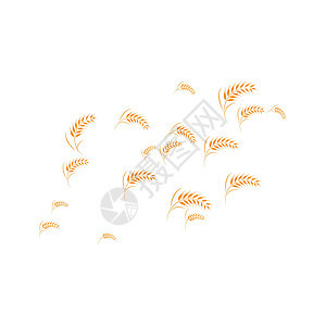 小麦原木种子标识生长面包燕麦玉米收成植物插图金子图片