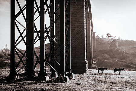 澳大利亚维多利亚州塔拉代尔铁路输油管建筑太阳晴天工程铁路纪念碑国家旅行绿色石头图片