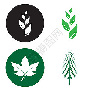 叶木卢戈LeafLogo插图生物水滴树叶商业季节生态标识地球植物图片