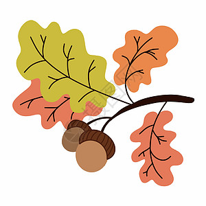 矢量插图 说明橡树枝有叶和橡果棕色橙子种子黄色叶子植物学干花园橡子标识季节性图片