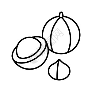 澳洲坚果图标 概述澳洲坚果矢量图标 用于网页设计和在白色背景下隔离的应用程序 时尚线条艺术图片