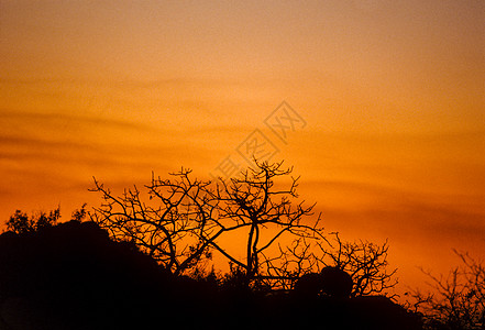 非洲日落旅游荒野反射地平线公园摄影天空国家水池太阳图片