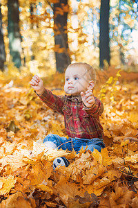 秋叶公园里的小男孩 有选择的专注点幸福孩子儿子婴儿微笑季节森林快乐叶子闲暇图片