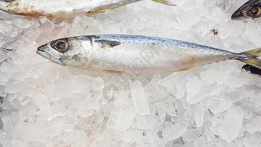 沙丁鱼被冻在冰中 以保持新鲜 出售给商店的顾客图片
