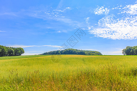 德国北部农业林区树木 自然景观全景 德国全国的风景场地游乐园天空蓝色牧场农村风车天气小麦城市图片