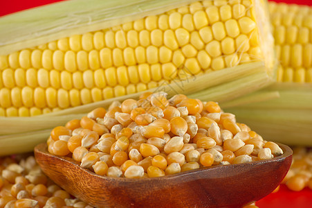 碗里有玉米内核和叶子的玉米鳕鱼植物核心金子食物农场粮食营养农业蔬菜谷物图片