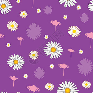 紫底的黛西花朵矢量无缝模式图片