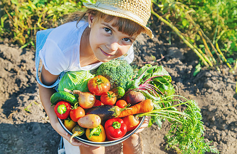 花园里的孩子手拿着蔬菜 有选择的专注点饮食乡村维生素土豆茄子婴儿萝卜午餐洋葱食物图片