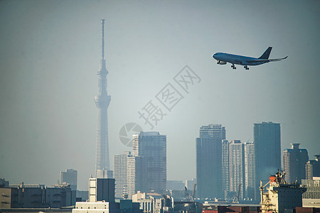 飞机和东京天空树图片