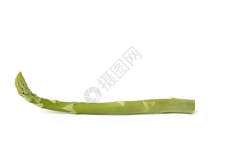 在白色背景隔绝的束新鲜的绿色芦笋 新鲜采摘的芦笋与水滴隔离在白色背景上烹饪沙拉植物食物美食维生素营养蔬菜季节阴影图片