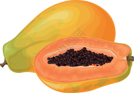 木瓜 新鲜 甜美的木瓜 成熟的果实 异国情调的水果 切开的木瓜 在白色背景上孤立的矢量图热带甜点营养植物饮食种子果汁插图农业橙子图片
