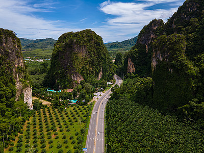 泰国Krabi棕榈树和石灰岩山之间交通畅通的美丽道路环境街道风景天空国家游客农村场地旅游小路图片