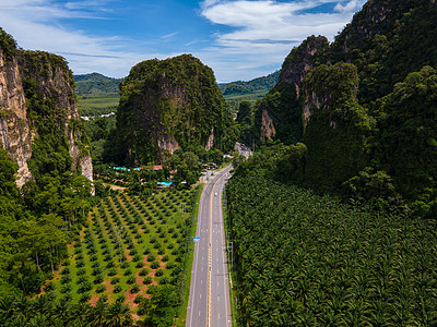 泰国Krabi棕榈树和石灰岩山之间交通畅通的美丽道路场景沥青石头旅游游客街道太阳蓝色晴天小路图片