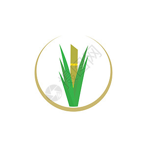 糖 甘蔗 甘蔗标识矢量植物果汁生态产品收成农业热带叶子农场种植园图片