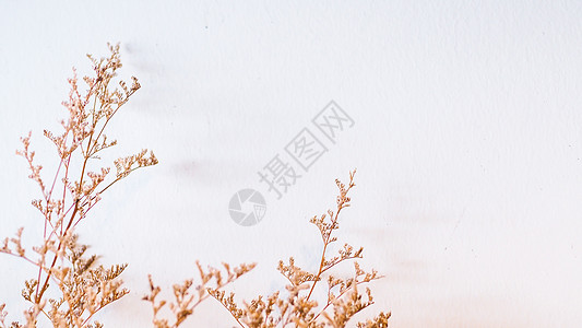 日落天空云抽象背景 树上有色彩多彩的bokeh太阳光线 暑假和自然旅行冒险概念 传统语调过滤效果颜色风格植物学乡村场地花园植物艺图片