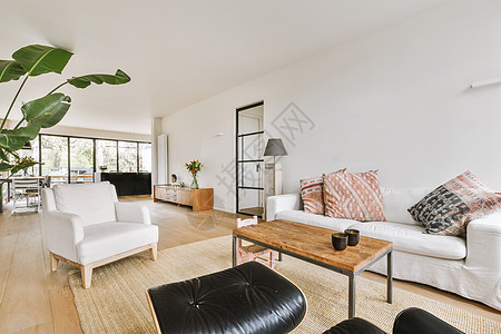 拥有宽敞现代公寓的内地沙发长椅木地板天花板客厅座位阳光房子地毯建筑学图片
