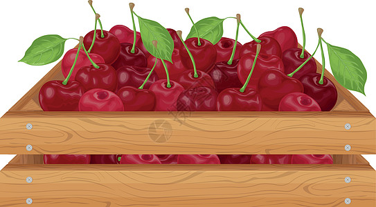 樱桃 在一个木箱里的成熟樱桃 装樱桃的木箱 花园里成熟的浆果 维生素产品 在白色背景上孤立的矢量图图片