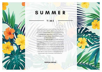 夏威夷花卉设计配有怪兽棕榈叶 外来热带夏季病媒背景雨林丛林植物绿色传单树叶边界海滩海报派对图片