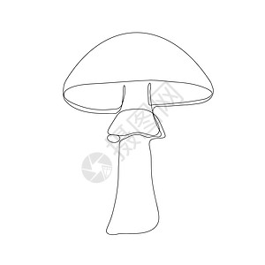 单行绘制的蘑菇图标 矢量插图季节卡通片涂鸦星星蔬菜森林营养牡蛎食物艺术图片