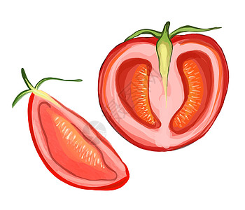 两片半番茄 手工抽水彩色插图 红番茄李普图片